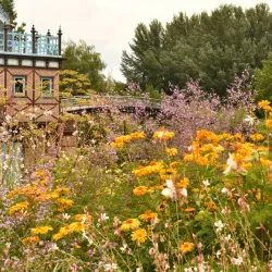 Place du Don - Amiens