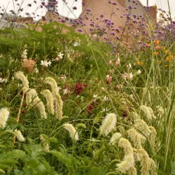Place du Don - Amiens