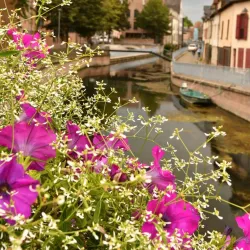 Place du Don - Amiens