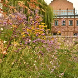 Place du Don - Amiens