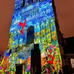 Cathédrale Saint-Maurice d'Angers - Angers