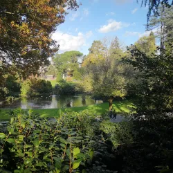 Jardin des Plantes d'Angers - Angers