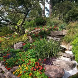 Jardin des Plantes d'Angers - Angers