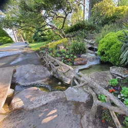 Jardin des Plantes d'Angers - Angers