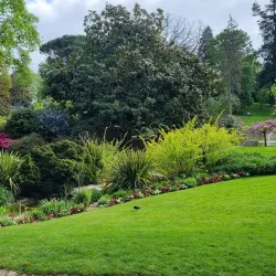 Jardin des Plantes d'Angers - Angers