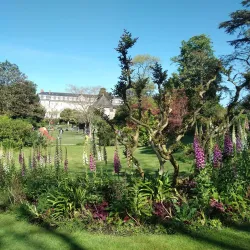 Jardin des Plantes d'Angers - Angers
