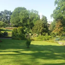 Jardin des Plantes d'Angers - Angers