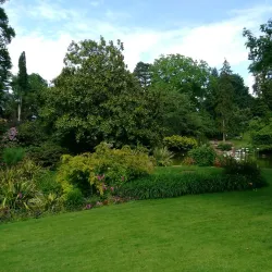 Jardin des Plantes d'Angers - Angers