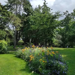 Jardin des Plantes d'Angers - Angers