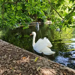 Jardin des Plantes d'Angers - Angers