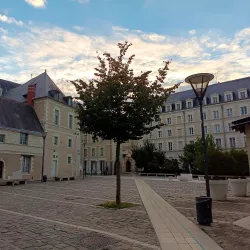 Musée des Beaux-Arts d'Angers - Angers