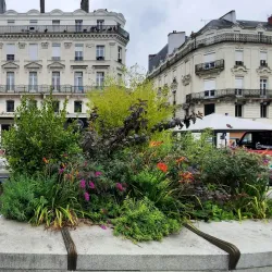 Place du Ralliement - Angers