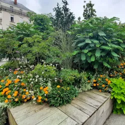 Place du Ralliement - Angers