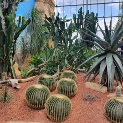 Terra Botanica - Angers