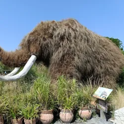 Terra Botanica - Angers