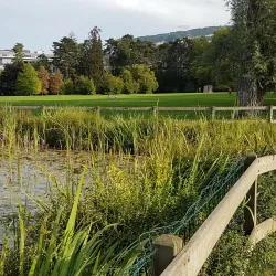 Le Parc Bertrand - Annemasse