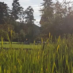 Le Parc Bertrand - Annemasse