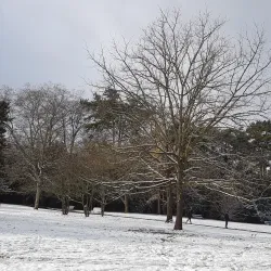Le Parc Bertrand - Annemasse