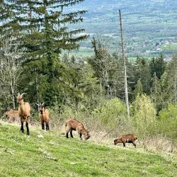 Le Parc des Voirons - Annemasse