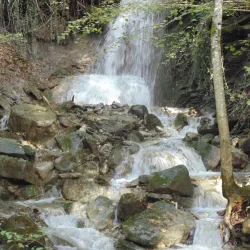 Le Parc des Voirons - Annemasse