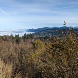 Le Parc des Voirons - Annemasse