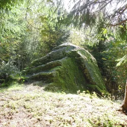 Le Parc des Voirons - Annemasse