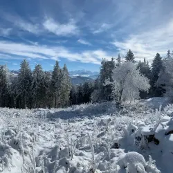 Le Parc des Voirons - Annemasse