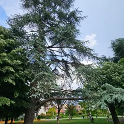 Parc Montessuit - Annemasse