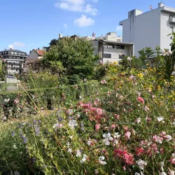 Parc Montessuit - Annemasse