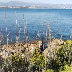 Cap d'Antibes - Antibes