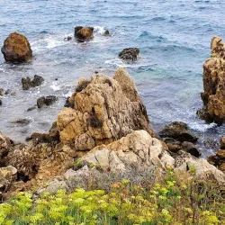 Cap d'Antibes - Antibes