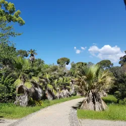 Jardin Thuret - Antibes