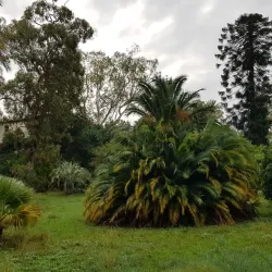 Jardin Thuret - Antibes