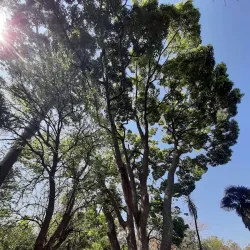 Jardin Thuret - Antibes