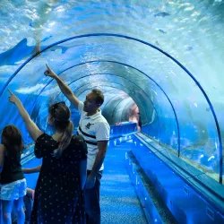 Marineland Antibes - Antibes