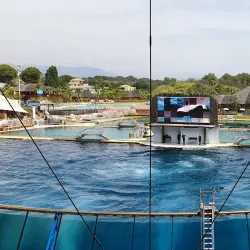Marineland Antibes - Antibes