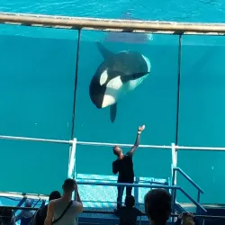 Marineland Antibes - Antibes