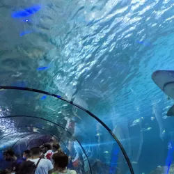 Marineland Antibes - Antibes