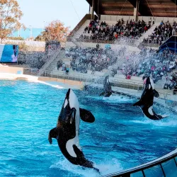 Marineland Antibes - Antibes