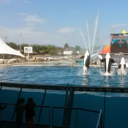 Marineland Antibes - Antibes