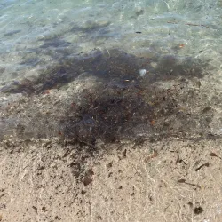 Plage de la Gravette - Antibes