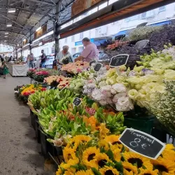 Provençal Market (Marché Provençal) - Antibes