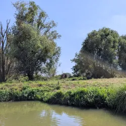 Audomarois Marshes - Arrest