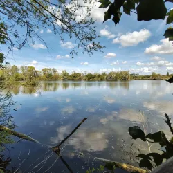 Audomarois Marshes - Arrest