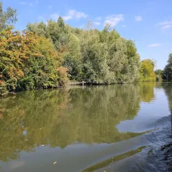 Audomarois Marshes - Arrest