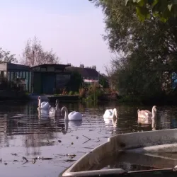 Audomarois Marshes - Arrest