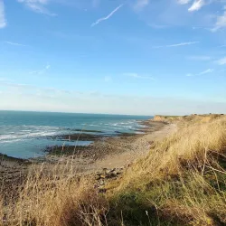 Parc Naturel Régional des Caps et Marais d'Opale - Arrest
