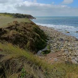 Parc Naturel Régional des Caps et Marais d'Opale - Arrest
