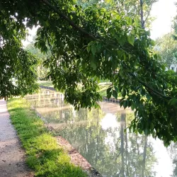 Le Canal de l'Ourcq - Aulnay-sous-Bois