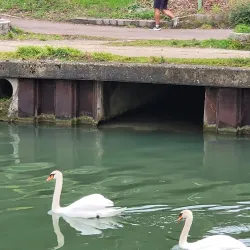 Le Canal de l'Ourcq - Aulnay-sous-Bois